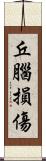 丘腦損傷 Scroll