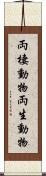 両棲動物 Scroll