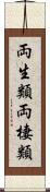 両生類 Scroll
