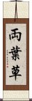 両葉草 Scroll