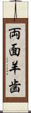 両面羊歯 Scroll