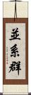 並系群 Scroll