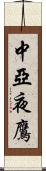 中亞夜鷹 Scroll