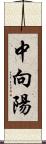 中向陽 Scroll