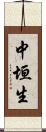 中垣生 Scroll