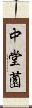 中堂薗 Scroll