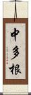 中多根 Scroll