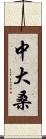 中大桑 Scroll