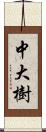 中大樹 Scroll