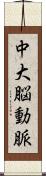 中大脳動脈 Scroll