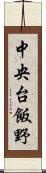 中央台飯野 Scroll