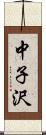 中子沢 Scroll