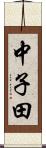 中子田 Scroll