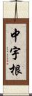 中宇根 Scroll