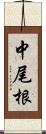 中尾根 Scroll