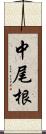 中尾根 Scroll