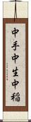 中手 Scroll