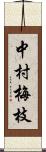 中村梅枝 Scroll