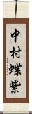 中村蝶紫 Scroll