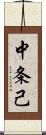 中条己 Scroll