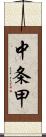 中条甲 Scroll