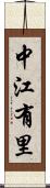 中江有里 Scroll