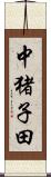 中猪子田 Scroll