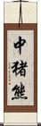 中猪熊 Scroll