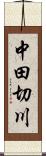 中田切川 Scroll