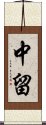 中留 Scroll