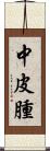 中皮腫 Scroll