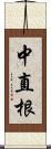 中直根 Scroll