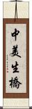 中美生橋 Scroll
