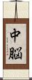 中脳 Scroll