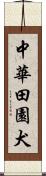 中華田園犬 Scroll