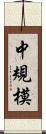 中規模 Scroll