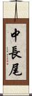 中長尾 Scroll