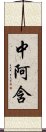 中阿含 Scroll