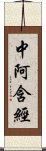 中阿含經 Scroll