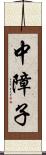 中障子 Scroll