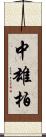 中雄柏 Scroll