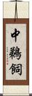 中鵜飼 Scroll