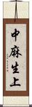中麻生上 Scroll