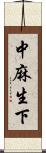 中麻生下 Scroll