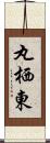 丸栖東 Scroll