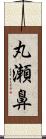 丸瀬鼻 Scroll