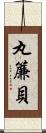 丸簾貝 Scroll