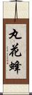 丸花蜂 Scroll