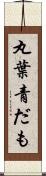 丸葉青だも Scroll