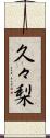 久々梨 Scroll